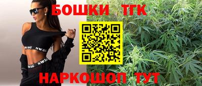 индика Кандалакша
