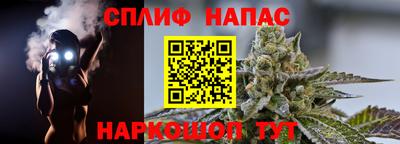 СК Канаш