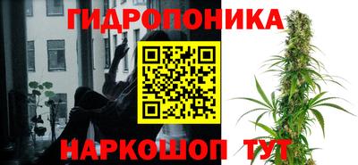 индика Кандалакша
