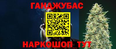 дурь Камышлов