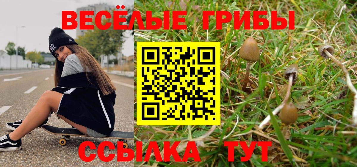 Псилоцибиновые грибы ЛСД Копейск